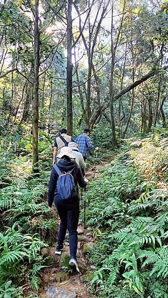 20231231 宜蘭礁溪 鵲子山 小百岳 遠眺龜山島 碧山