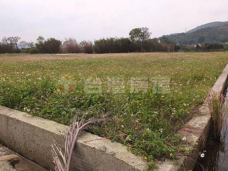 新埔背山田園農地1.jpg