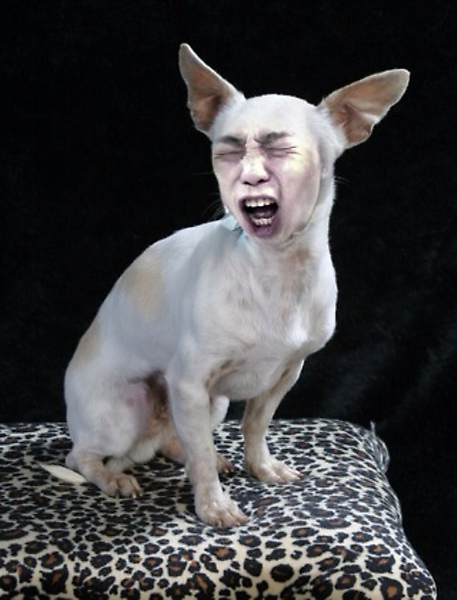 Dupi1.jpg Dupi1.jpg