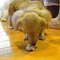 20100629 176.jpg