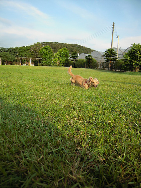 20100711 014.jpg