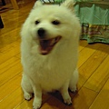 20100629 222.jpg