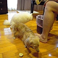 20100629 171.jpg