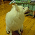 20100629 221.jpg