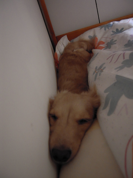 20100614 071.jpg