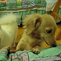 20100629 217.jpg