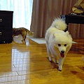 20100629 155.jpg