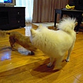 20100629 198.jpg