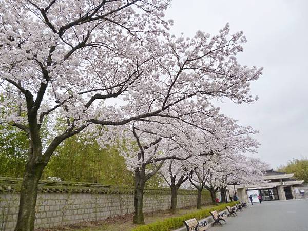 1-1韓國慶州博物館 (0).jpg 1-1韓國慶州博物館 (0).jpg