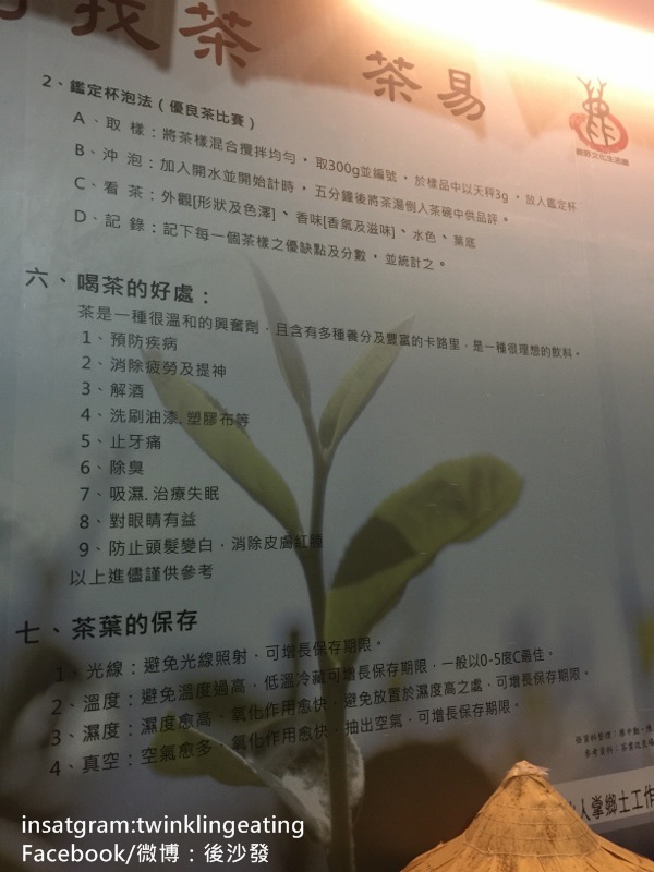 55-3 (600x800)