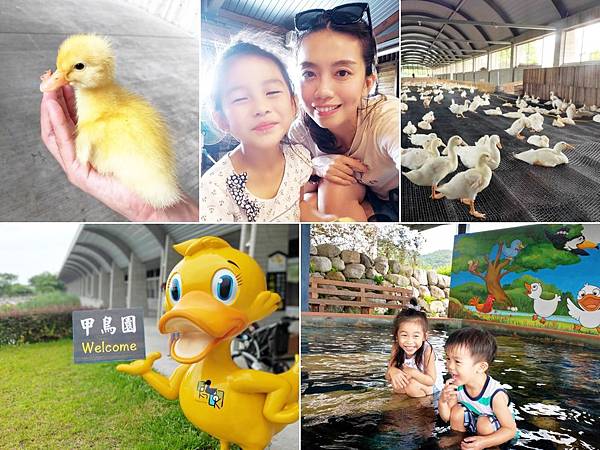 april_2019-07-26-18-49-31-426.jpg april_2019-07-26-18-49-31-426.jpg