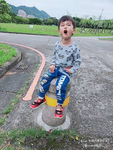 IMG20200329164557_mh1585671565548.jpg IMG20200329164557_mh1585671565548.jpg