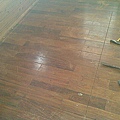 20110517(002).jpg