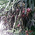 20110630.jpg