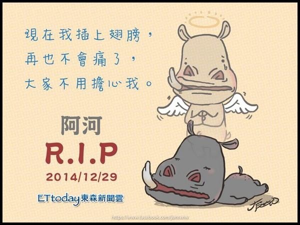 狗狗往生後會回家嗎? @ 大ㄚ駿小放生日誌-凡走過必留痕跡:: 痞客邦::