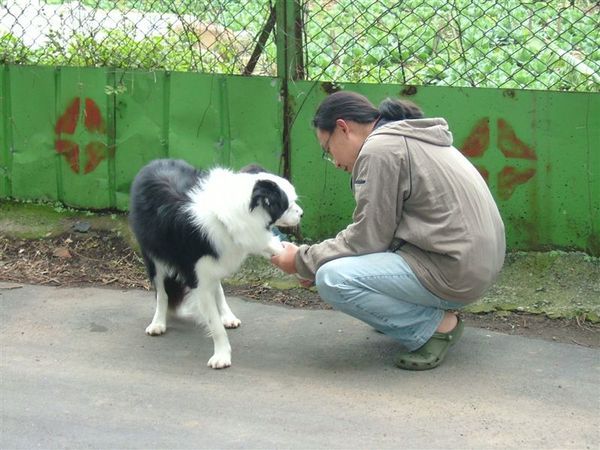 039 邊境牧羊犬與主人.JPG