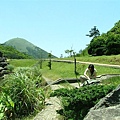 094面天山偷拍.JPG