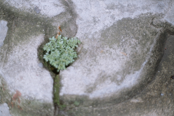 水溝蓋 水溝蓋