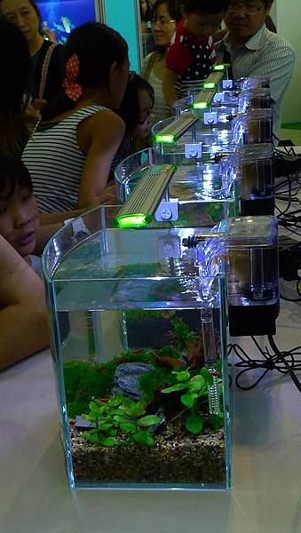 0606post.jpg 0606post.jpg