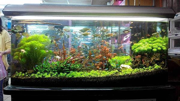 0608-6post.jpg 0608-6post.jpg