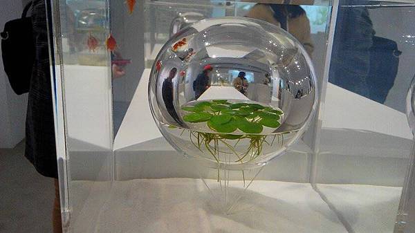 0616-1.jpg 0616-1.jpg