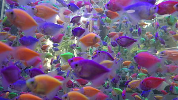 「春天後母面」的考驗😵😵😵