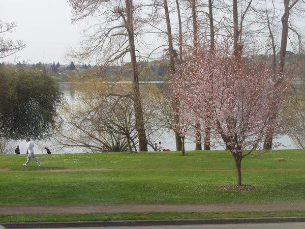 green lake, Seattle