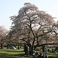 QE park