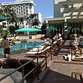 Hyatt Swimming pool