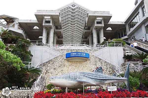 2015-0405-沖縄美ら海水族館-41