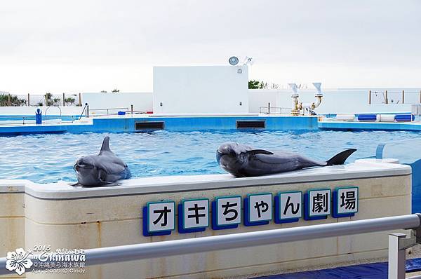 2015-0405-沖縄美ら海水族館-48