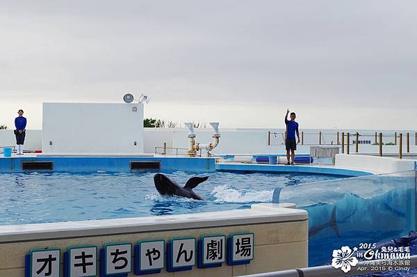 2015-0405-沖縄美ら海水族館-49