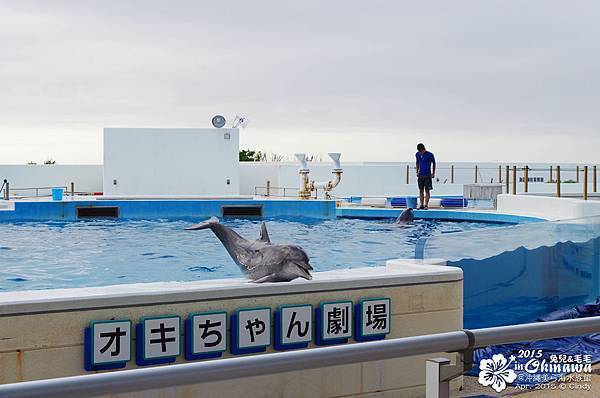 2015-0405-沖縄美ら海水族館-50