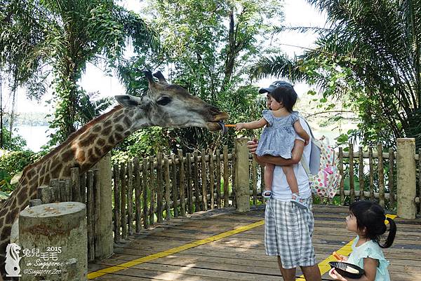 0218-Singapore Zoo-19.jpg