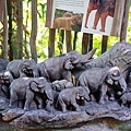 0218-Singapore Zoo-27.jpg