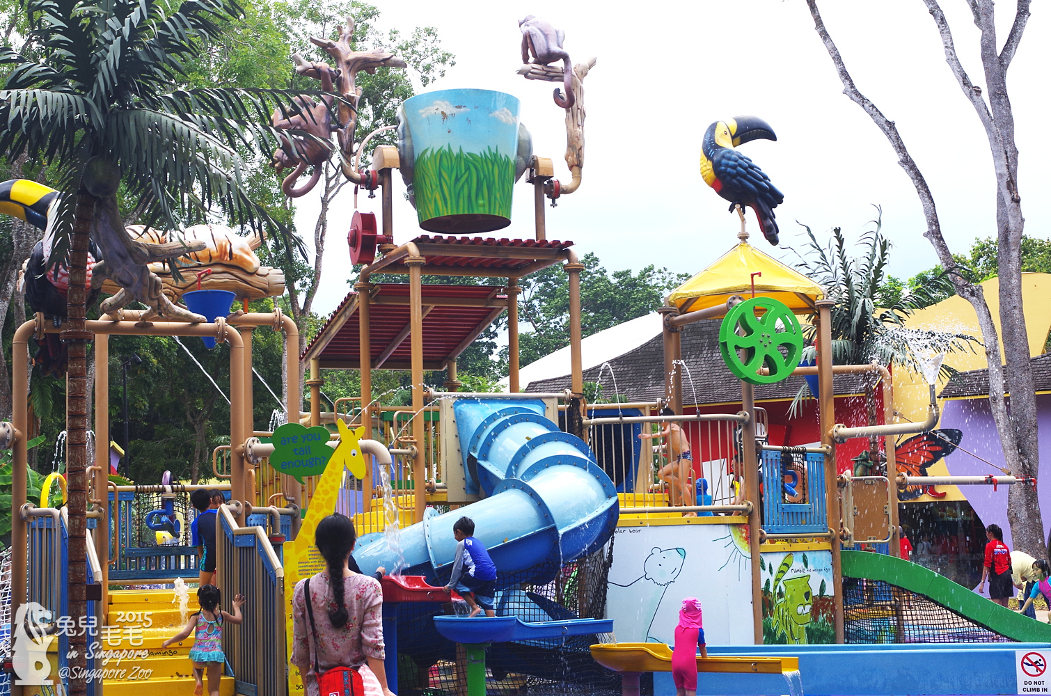 0218-Singapore Zoo-75.jpg 0218-Singapore Zoo-75.jpg