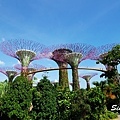 2016-Garden By the Bay-06.jpg