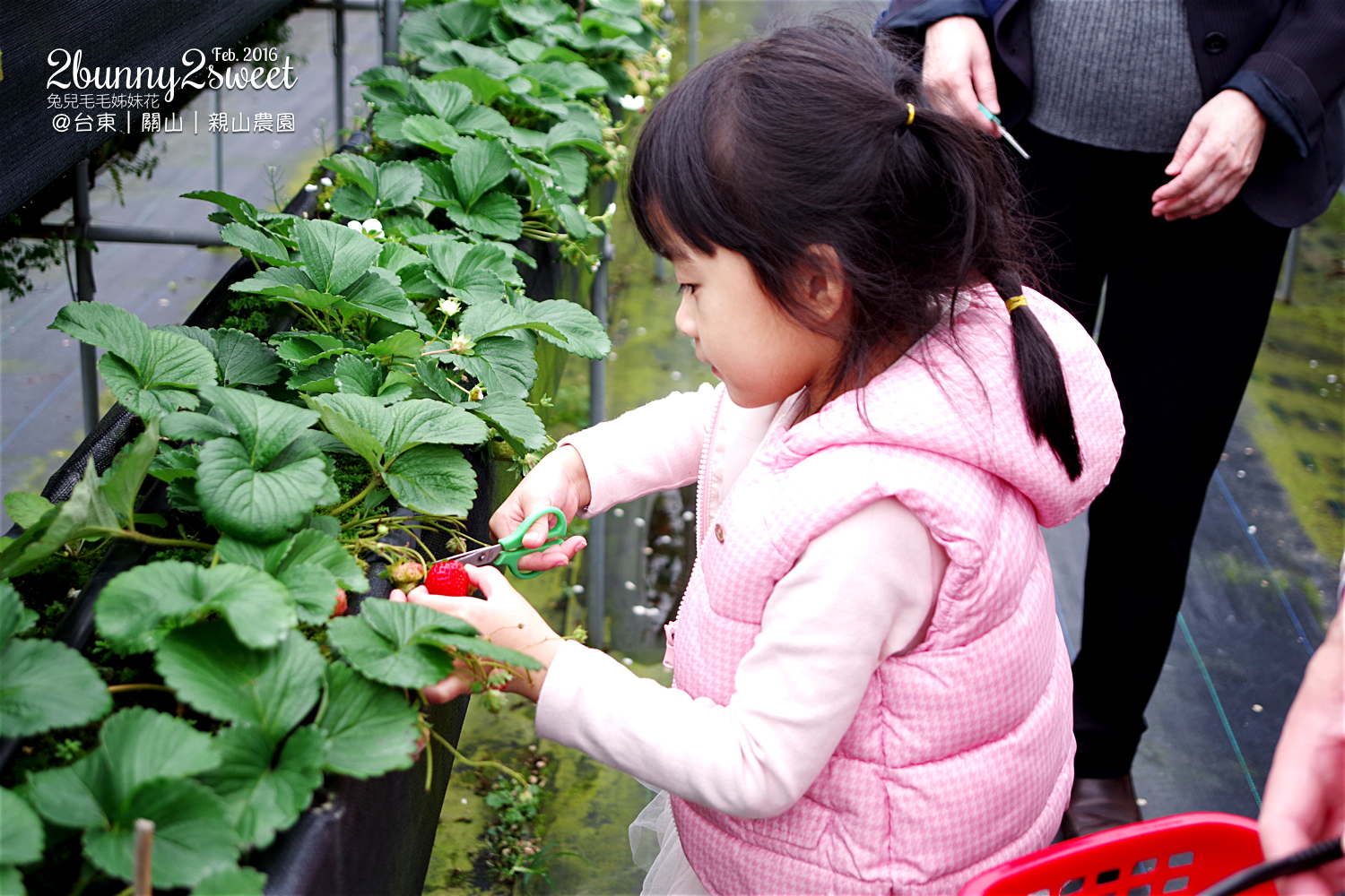 2016-0228-親山農園-05.jpg