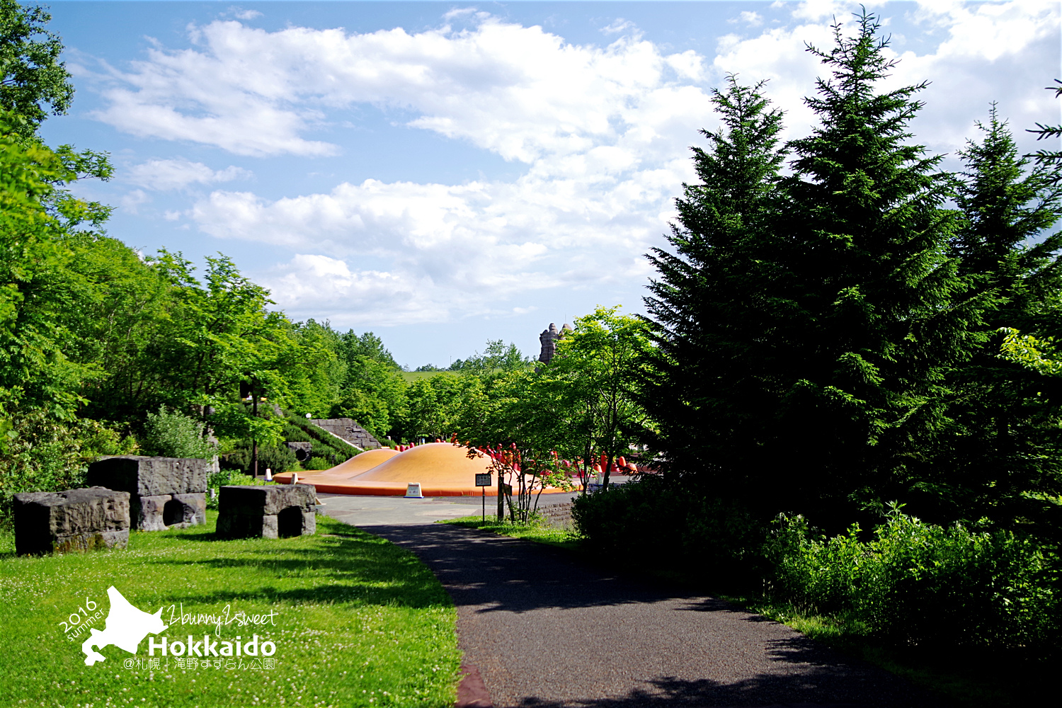 2016-0628-滝野すずらん公園-07.jpg