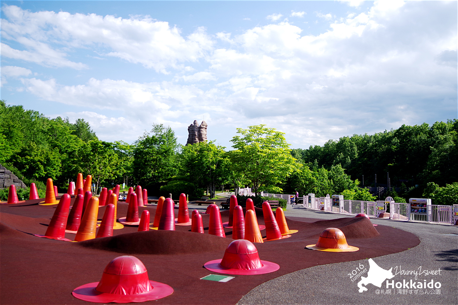 2016-0628-滝野すずらん公園-08.jpg