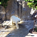 2016-0629-旭山動物園-54.jpg