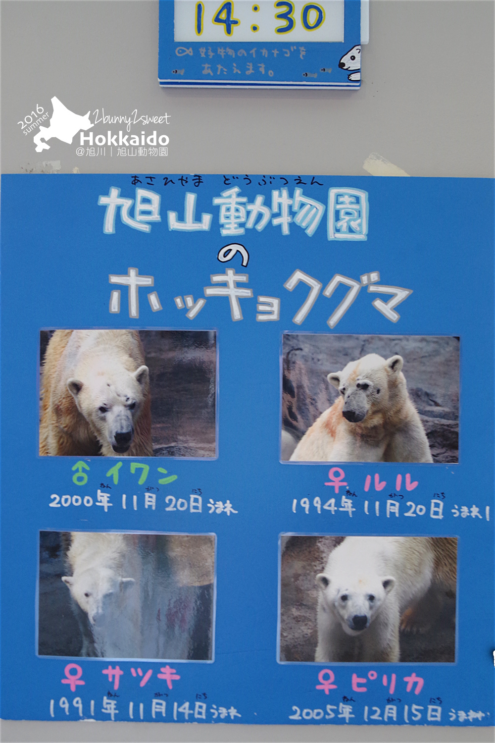 2016-0629-旭山動物園-59.jpg