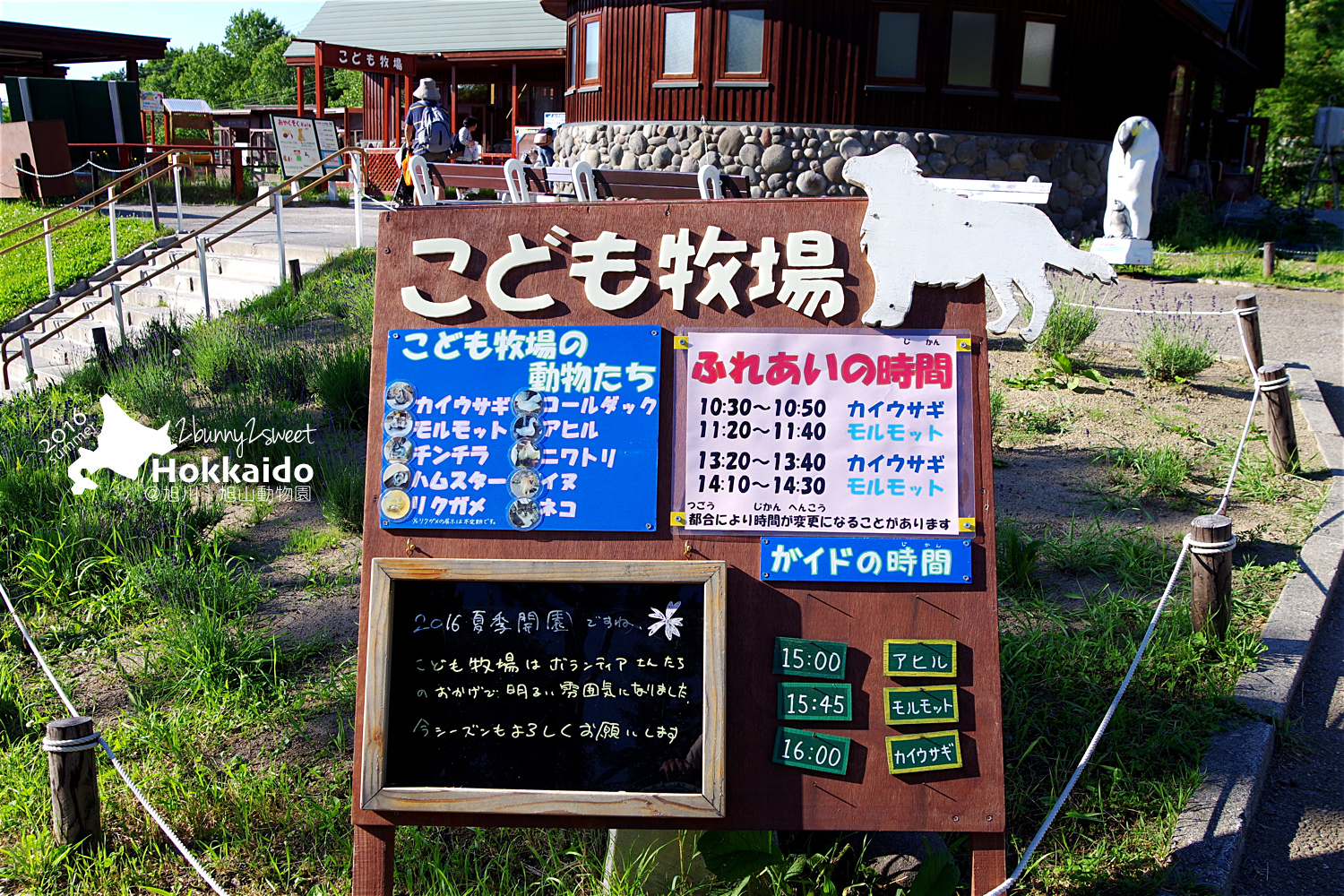 2016-0629-旭山動物園-85.jpg