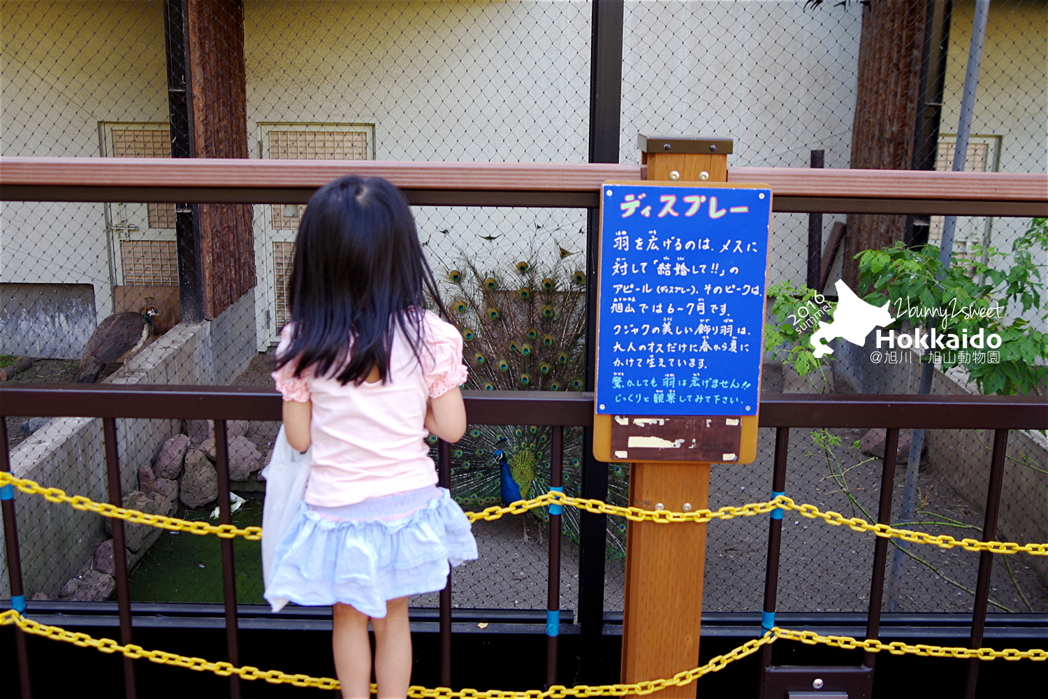 2016-0629-旭山動物園-90.jpg