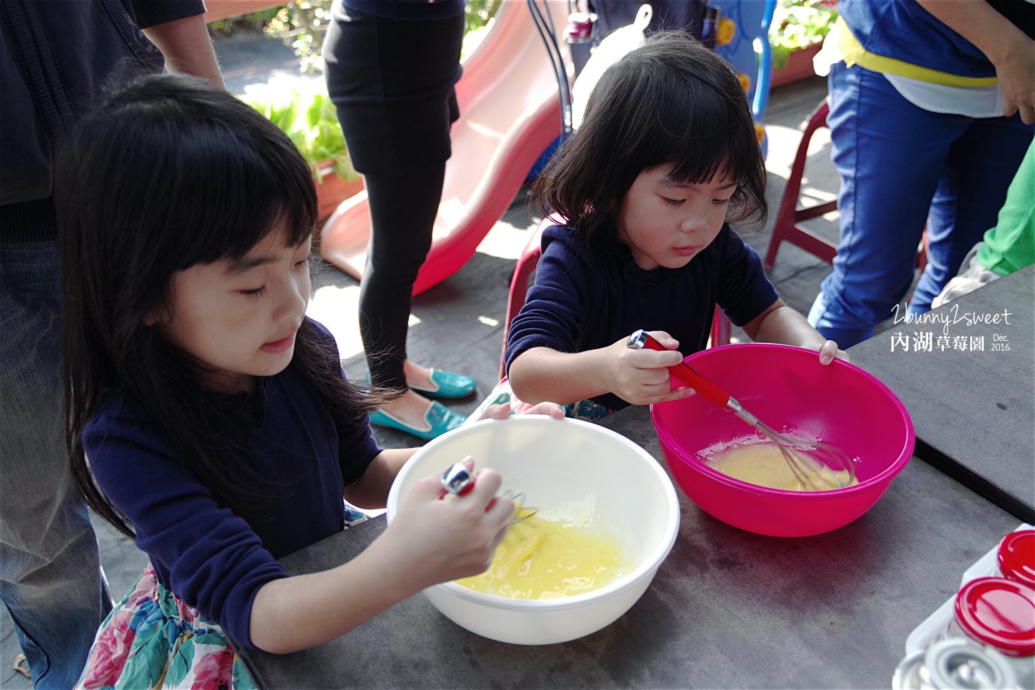 2016-1225-內湖草莓園-03.jpg 2016-1225-內湖草莓園-03.jpg