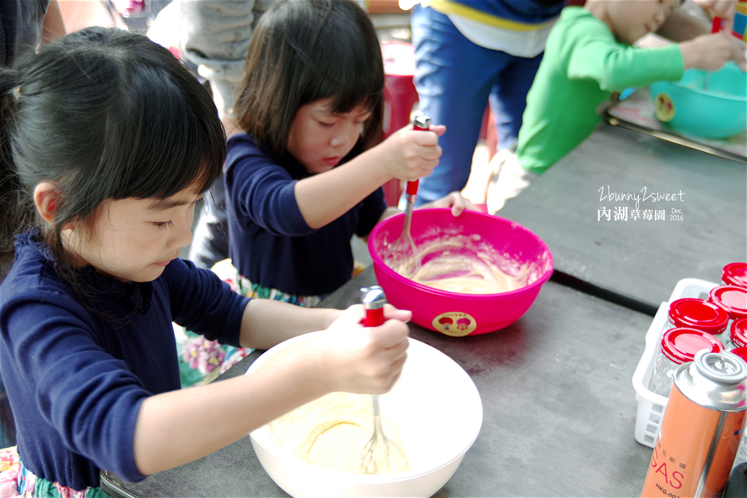 2016-1225-內湖草莓園-04.jpg 2016-1225-內湖草莓園-04.jpg