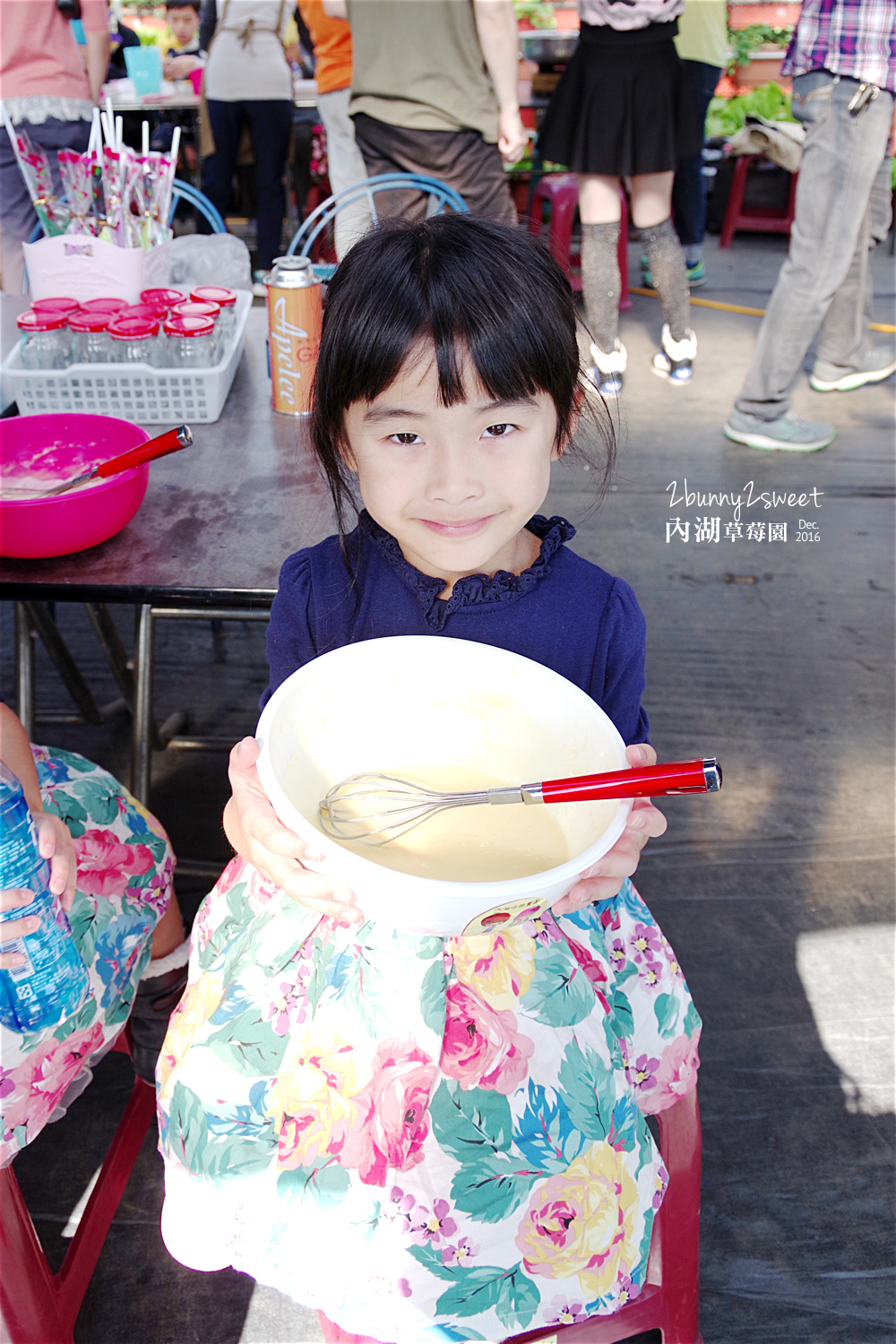 2016-1225-內湖草莓園-06.jpg 2016-1225-內湖草莓園-06.jpg