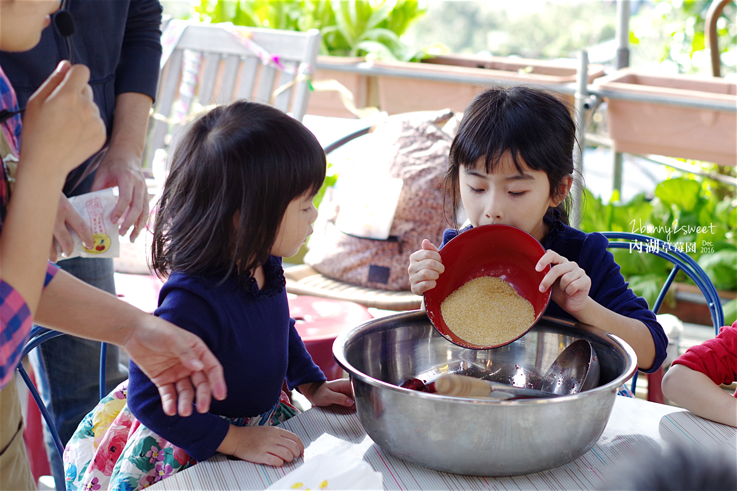 2016-1225-內湖草莓園-09.jpg 2016-1225-內湖草莓園-09.jpg