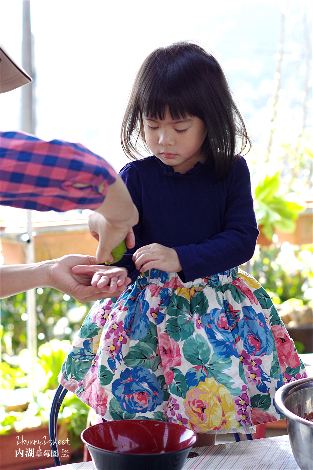 2016-1225-內湖草莓園-13.jpg 2016-1225-內湖草莓園-13.jpg