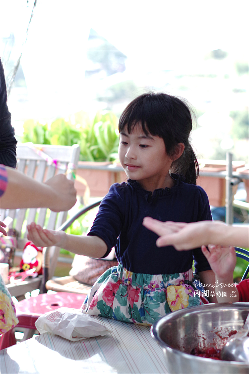 2016-1225-內湖草莓園-15.jpg 2016-1225-內湖草莓園-15.jpg